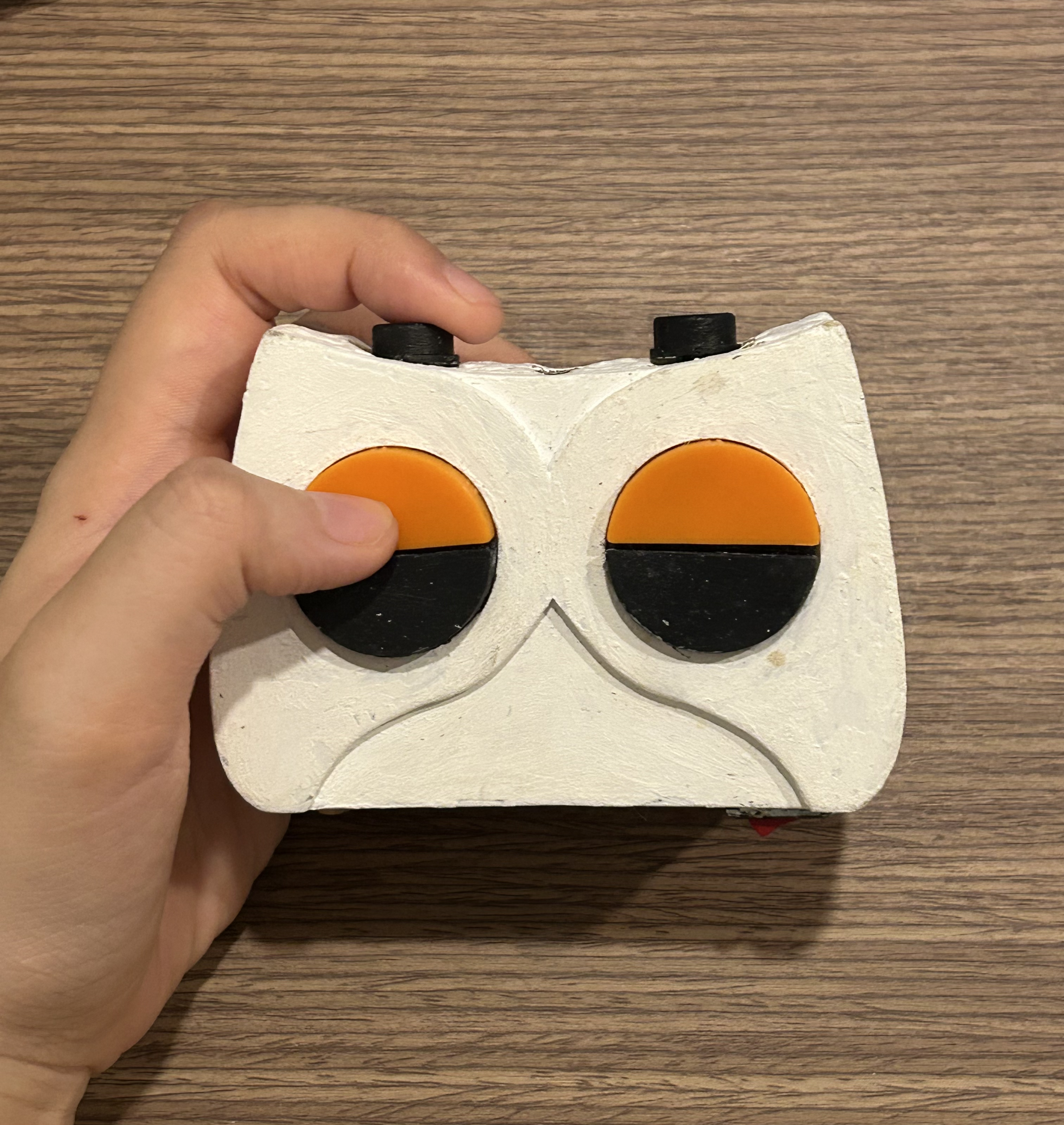 (signed) This Is Not What Thought / Yuri Hasegawa